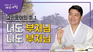 정전공부 (3-1) 처처불상 사사불공, 너도 부처님 나도 부처님