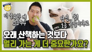 오래 산책하는 것보다 멀리 가는 게 더 중요한가요?｜강형욱의 소소한 Q\u0026A