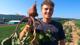 Growing Vegetables The Size Of A Human Head