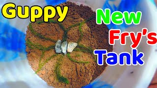 New guppy fry's Tank - പുതിയ ടാങ്ക് സെറ്റുചെയ്തു ഗപ്പി കുഞ്ഞുങ്ങൾക്ക് വേണ്ടി