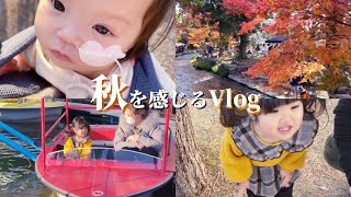 家族皆んなで秋を感じるVlog【4pマイナス症候群】ピナちゃん♡おてんばちぇなちゃん♡