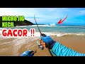 GACOR !! MANCING CASTING PINGGIRAN PAKAI UMPAN MICRO JIG SEKECIL INI PANEN STRIKE