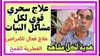 علاج سحرى لكل مشاكل النبات/ بيكربونات الصوديوم، صودا الخبيز+ خل الطعام مبيد فطرى وحشرى