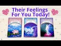 🔥HOW THEY FEEL ABOUT YOU TODAY 💝PICK A CARD 🥀 TIMELESS LOVE TAROT READING 💞 TWIN FLAMES 👫 SOULMATES