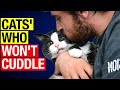 5 SHOCKING Reasons Your Cat Won't Cuddle! How to Fix