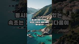 여름휴가 때 놀러가기 좋은 한국 국내 여행지 top 5 #한국 #korea #koreatravel