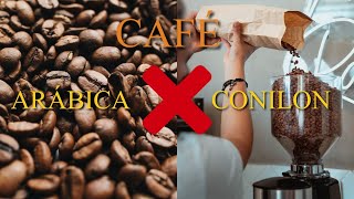 Qual a Diferença entre Café Conilon e Café Arábica? ☕