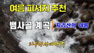 [계곡트레킹-1] 지리산 뱀사골 | 대한민국 최고의 여름계곡 추천 | 드론 영상