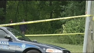 Body found in Amherst, likely was missing woman