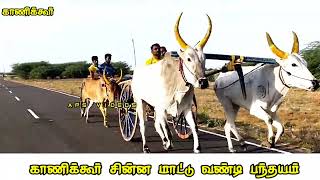 காணிக்கூர் சின்ன மாட்டு வண்டி பந்தயம்