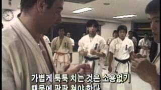 [다큐클래식] 아시아 리포트 103회 극진 가라데 창시자, 최배달 / Asia report #103 Karate founder, Choi Yeong Eui(Bae