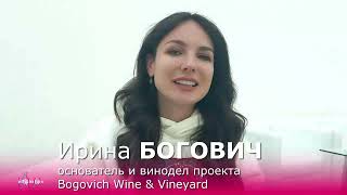 Ирина Богович, основатель и винодел проекта Bogovich Wine \u0026 Vineyard