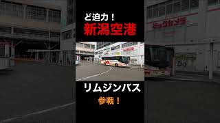 ど迫力！新潟空港リムジンバスを見てきたw #shorts #新潟駅 #新潟交通 #新潟市