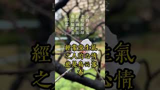 心安则身安，心困则身困#shorts#商业思维 #思维认知  #思维 #思维格局 #富人思维 #创业 #人性 #人性智慧 #人性思维 #人性真相 #人生智慧 #赚钱 #认知思维 #认知 #认知觉醒