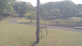 みちのく民俗村ライブ 2023.05.13 08:35