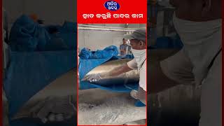 ଏମିତି ତିଆରି ହୁଏ ଚପଲ || AJIRAKHABAR