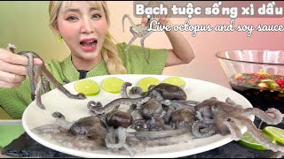 Ăn bạch tuộc sống xì dầu cùng Tóc Vàng hoe