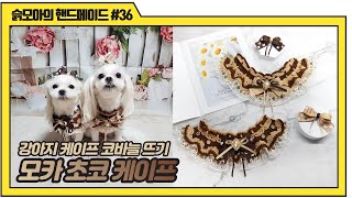 강아지 케이프 뜨기｜고양이 강아지 모카 초코 케이프 만들기｜코바늘 뜨기｜crochet dog collar