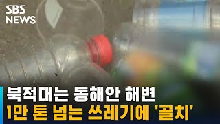 동해안 해변, 휴가 기간 1만 톤 넘는 쓰레기에 '골치' / SBS