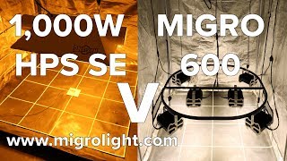 1000W HPS SE Dominator XXL Vs MIGRO 600 LED