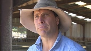 My Farm300 journey: Victorian mixed farming producer and feedlot operator Simon Ross (part 1 of 2)