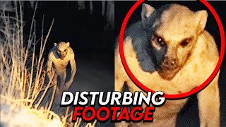 DISTURBING Viral Videos DISTURBING Entire Internet