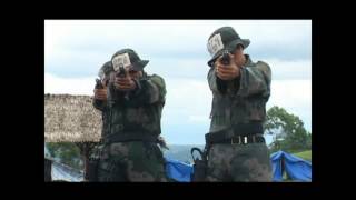 RPSB PRO 10 Brief History