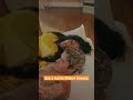 sza and justin bieber snooze acoustic