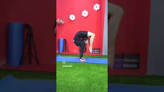 Handstand Asana/Hand Balancing Yogasana/Advance Yoga Asana/Backbending Video- Yoga Saathi Video.