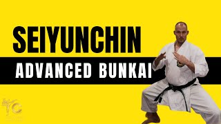 Goju Ryu Seiyunchin Bunkai Oyo for Advanced Karate Practitioners