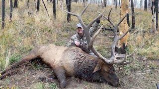 Rut Fest! Utah Elk Hunt with a Massive ending.