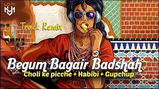 Begum Bagair Badshah + Choli ke picche + Habibi + Gupchup Track Remix 🔥🎭 Lofi Urdu Music