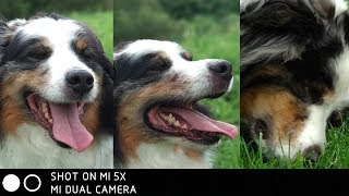 Xiaomi Mi5X Camera Review! How does the Mi 5X camera perform?