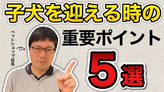 【子犬を迎える前に絶対見て！】子犬を迎える前と後で大事なこと５選！をペットショップ店長が解説します！