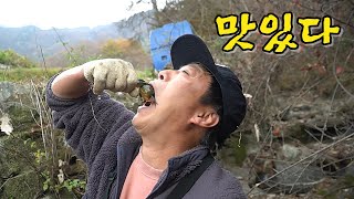 벌금 2000만원짜리를 먹어보자~! 그 맛은 세상에 없는 맛!