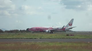 さくらジンベエ　 JTA　日本トランスオーシャン航空　ボーイング737-8Q3　JA06RK　　NU3442　宮古（沖縄）→岡山　チャーター便　2024/10/16 　水曜日撮影　　【岡山桃太郎空港】