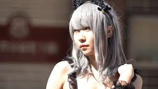 黒猫ちゃん♥Part 3【ストフェス2019/第15回日本橋ストリートフェスタ2019/Nipponbashi Street Fair】