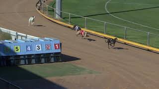 Gawler-17052019-Race-1