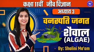 शैवाल (Algae) (L- 1) | वनस्पति जगत | Class 11th Biology Chapter 3 by Shalini Maam | Hindi Medium