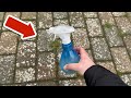 remove lichen effortlessly from paving stones💥 with this miracle product 🤯