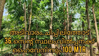 അടിവാരം.36. സെന്റ്. സ്ഥലം വിൽപ്പനക്ക്.. റിസോർട്ടിനു അനുയോജ്യം...9074708107..