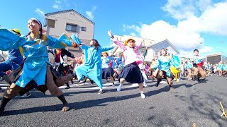 近畿大学よさこい連洗心　バサカニ2017 公園線南会場(広角)