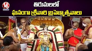 తిరుమలలో ఘనంగా శ్రీవారి బ్రహ్మోత్సవాలు.. Tirumala  Navaratri Brahmotsavam | V6 News