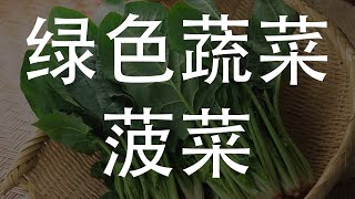 菠菜：一种营养丰富的绿色蔬菜