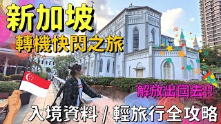 【NIKONIKO】轉機「新加坡快閃半日遊」🇸🇬入境準備++觀光攻略