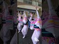 tokyo ebisu ren😊 parading in kumegawa s awa odori festival 20241019 【東京えびす連】 東村山 久米川阿波踊り大会 2024