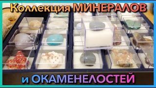 КОЛЛЕКЦИЯ МИНЕРАЛОВ И ОКАМЕНЕЛОСТЕЙ