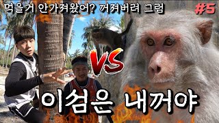 나트랑#5 생전 처음가본 원숭이섬! 코로나로 인해 손님이 없는 그곳은 어떨까?? [vietnam nha trang - monkey island]