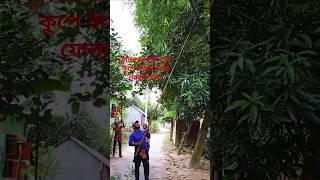 চ্যালেঞ্জ হলো এক কুপে বাঁসটা কেটে ফেলতে হবে।