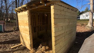 DIY Pig Shelter Progress.  WALLS AND A ROOF!!